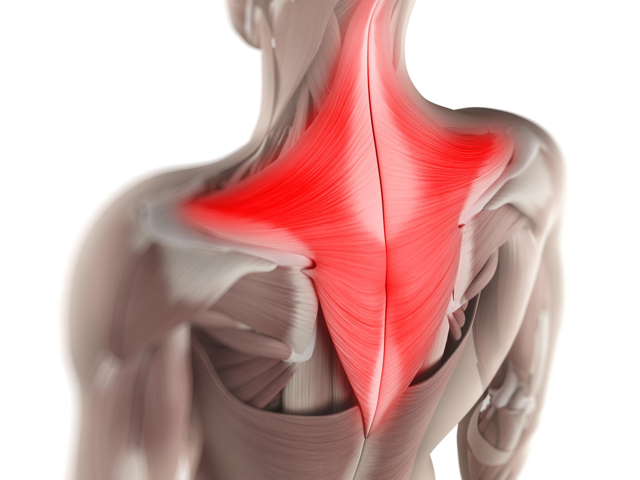 shoulder-and-neck-pain-causes-and-treatment